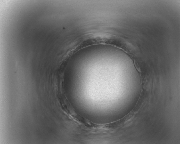 X0000066961061200604071958