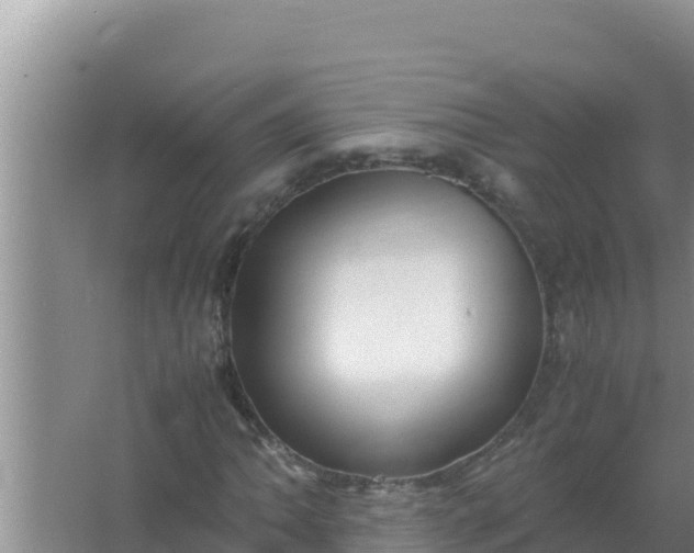 X0000066961062200604071958