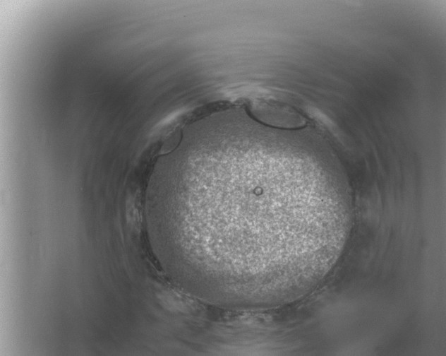 X0000066961063200604071958