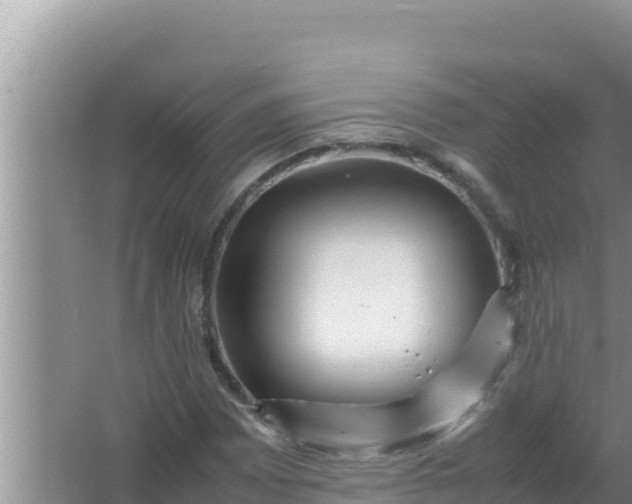 X0000066961065200604071958