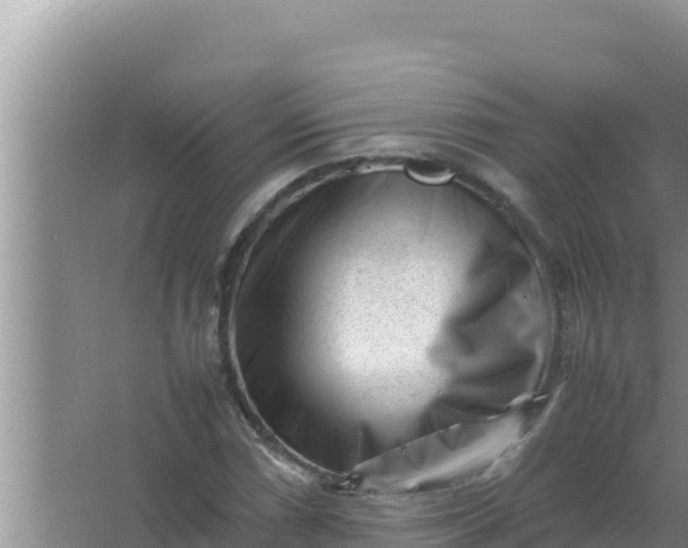 X0000066961066200604071958