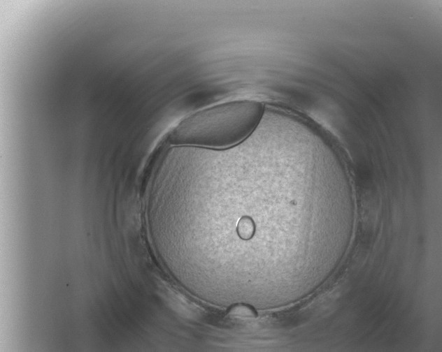 X0000066961067200604071958