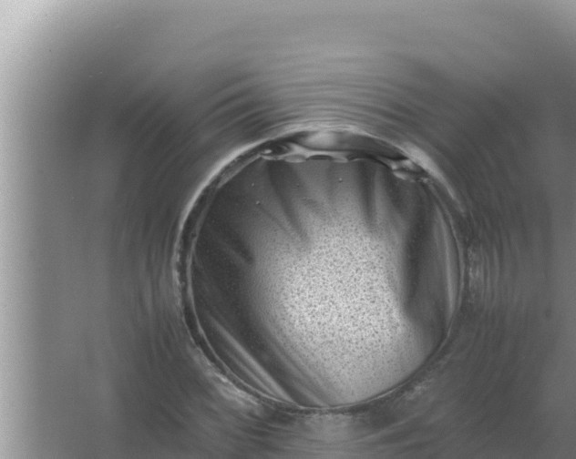 X0000066961068200604071958