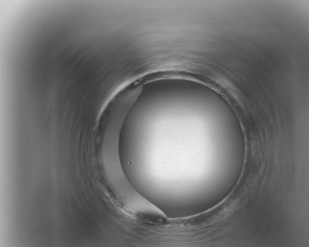 X0000066961069200604071958