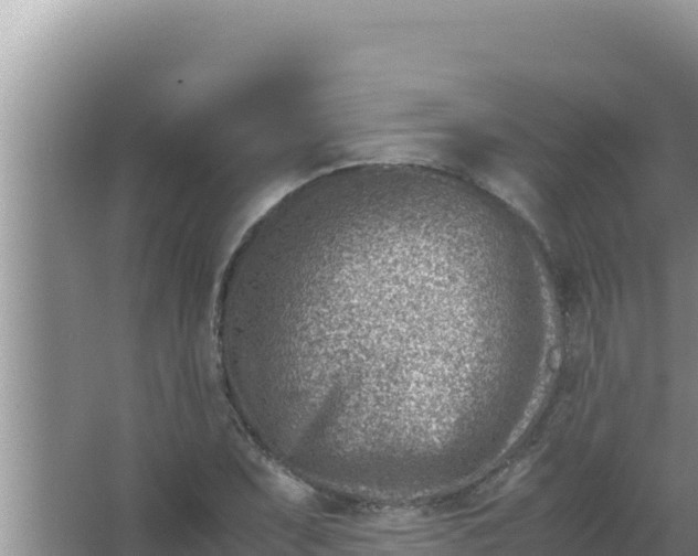 X0000066961071200604071958