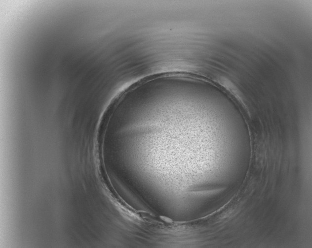 X0000066961072200604071958