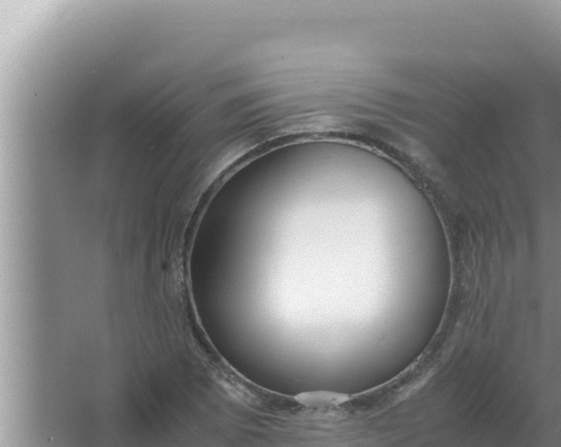 X0000066961073200604071958