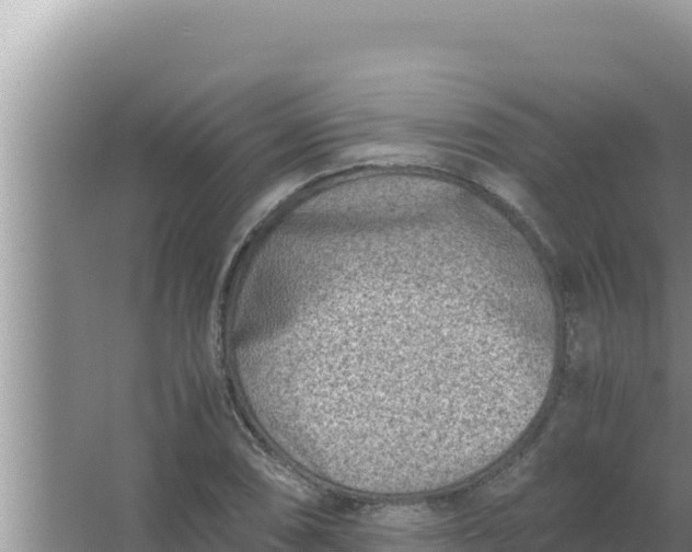 X0000066961074200604071958