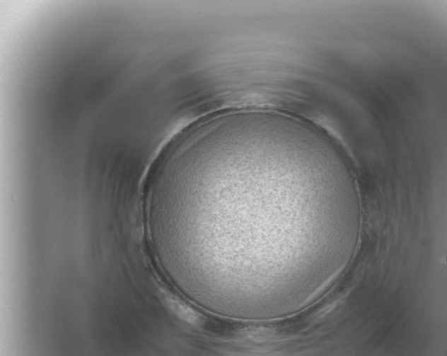 X0000066961075200604071958