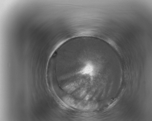 X0000066961077200604071958