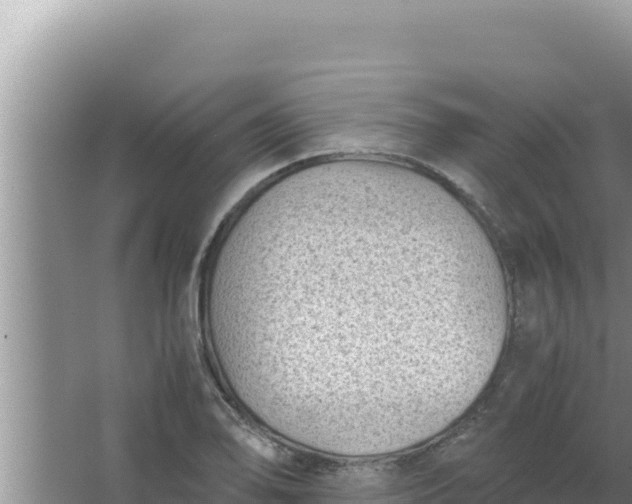 X0000066961078200604071958