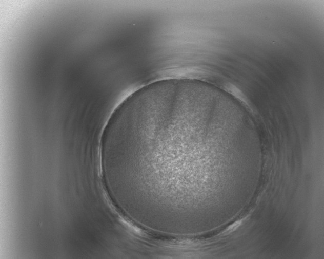 X0000066961079200604071958