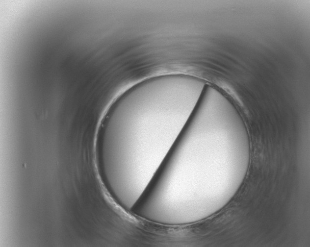 X0000066961080200604071958