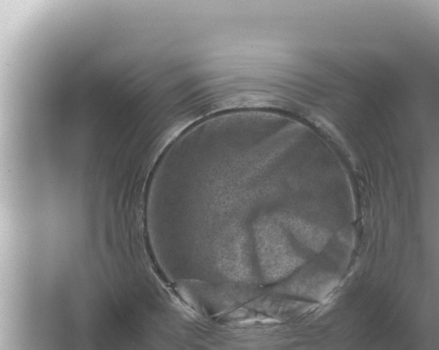 X0000066961081200604071958