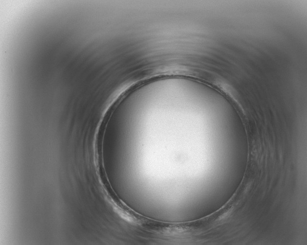 X0000066961082200604071958