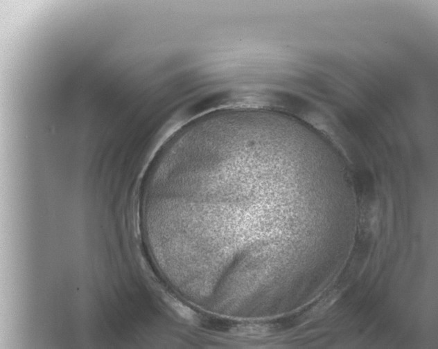 X0000066961083200604071958