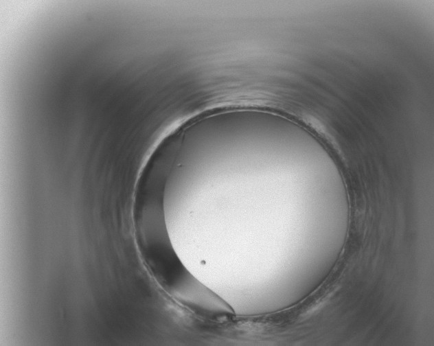 X0000066961085200604071958