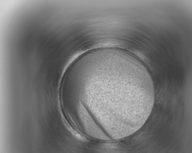 X0000066961086200604071958