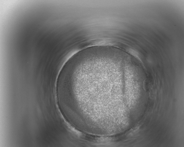 X0000066961087200604071958