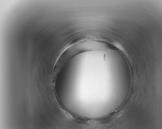 X0000066961089200604071958