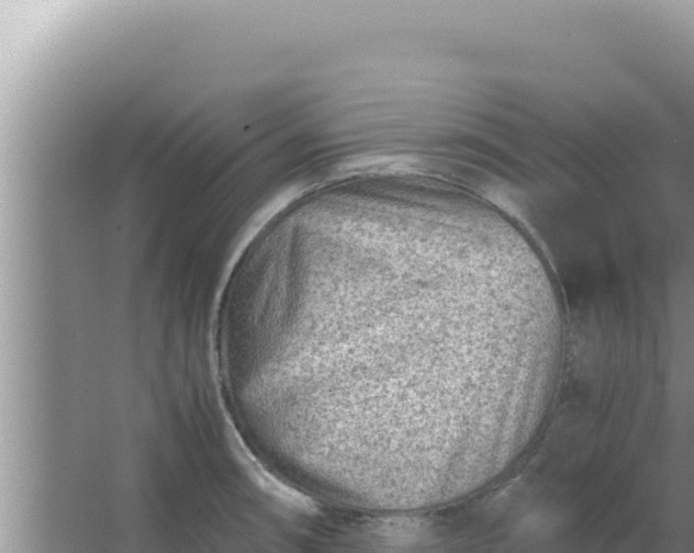 X0000066961090200604071958