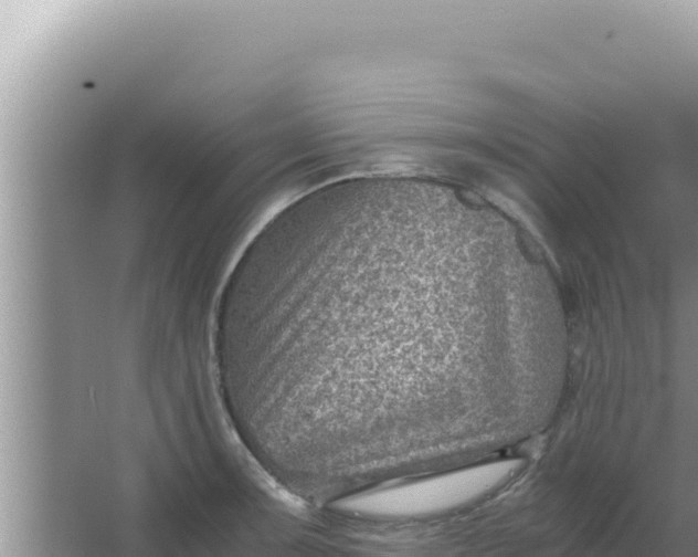 X0000066961091200604071958