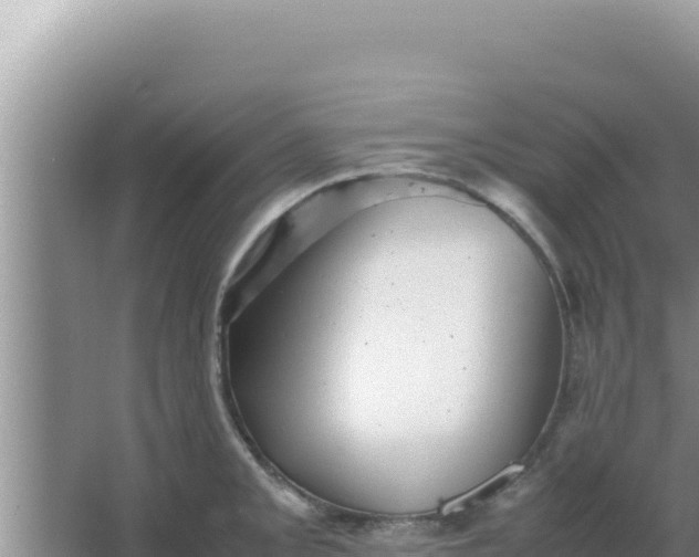 X0000066961093200604071958