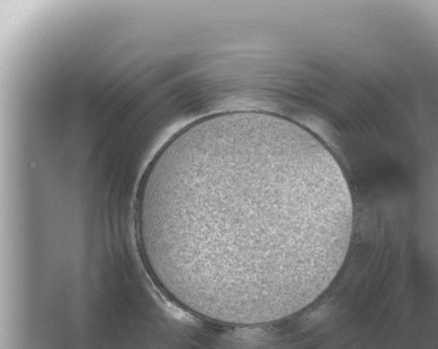 X0000066961094200604071958