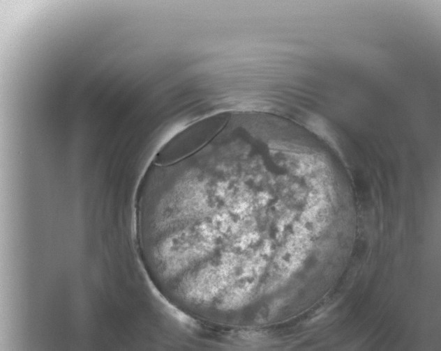 X0000066961095200604071958