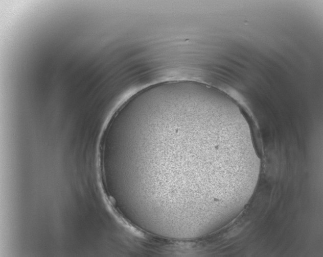 X0000066961096200604071958