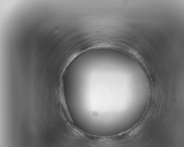 X0000066961097200604071958