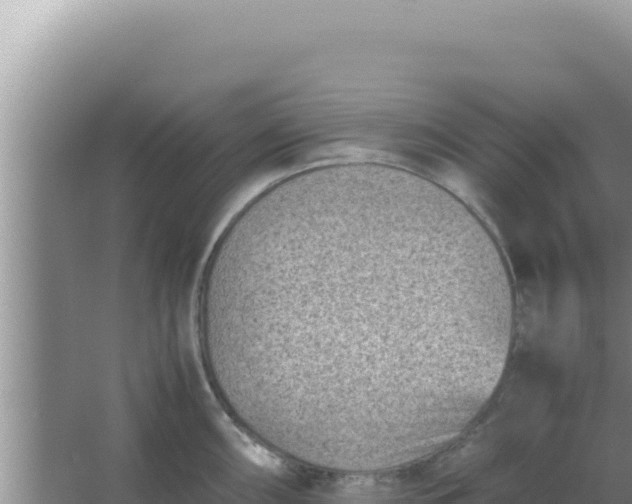 X0000066961098200604071958