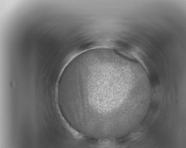 X0000066961099200604071958