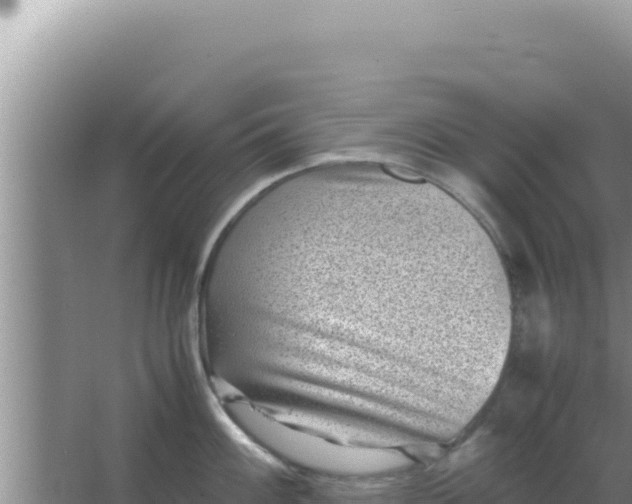 X0000066961100200604071958