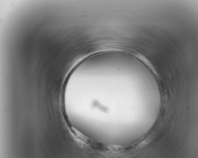 X0000066961101200604071958