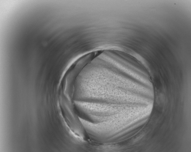 X0000066961102200604071958