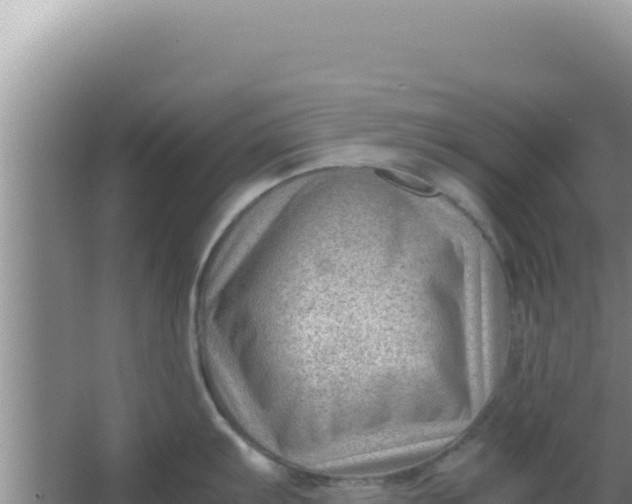 X0000066961103200604071958