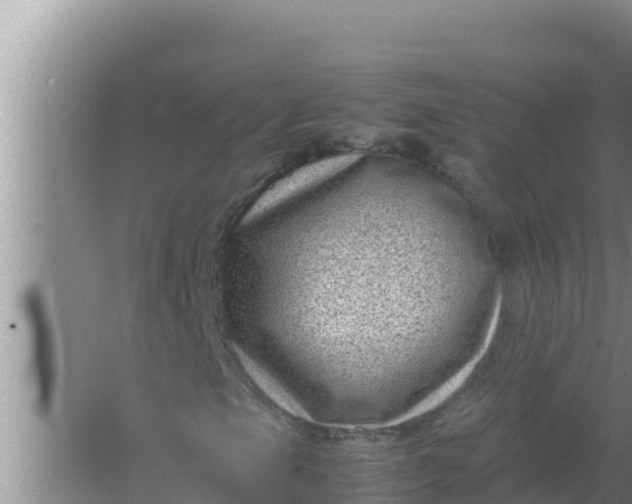 X0000066961105200604071957