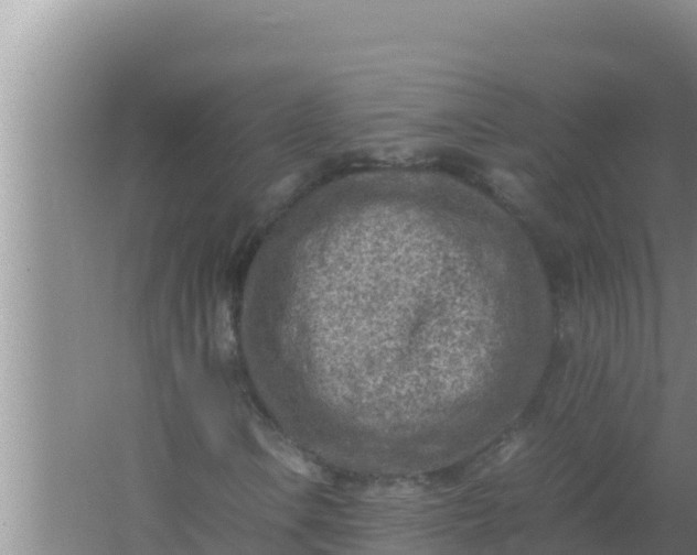 X0000066961106200604071957