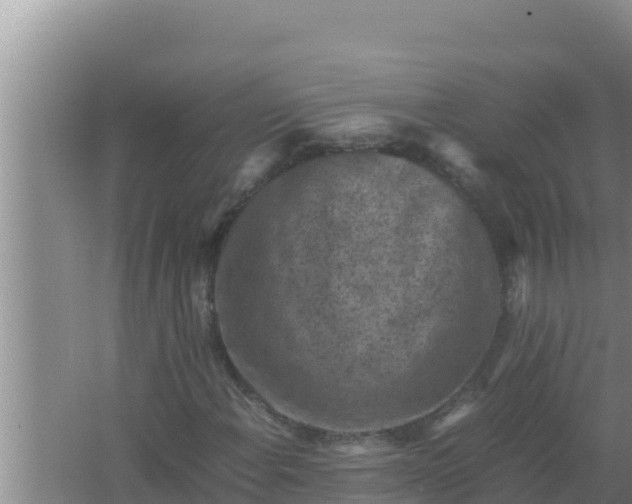 X0000066961108200604071957