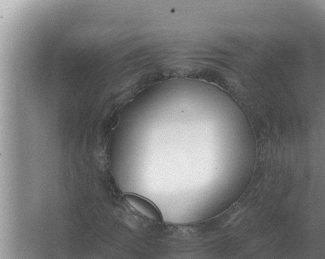 X0000066961109200604071957