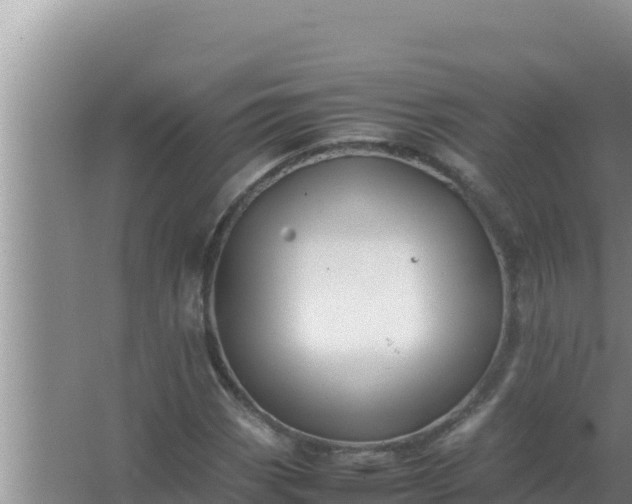 X0000066961113200604071957