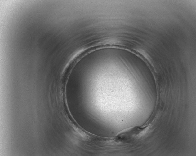 X0000066961115200604071957