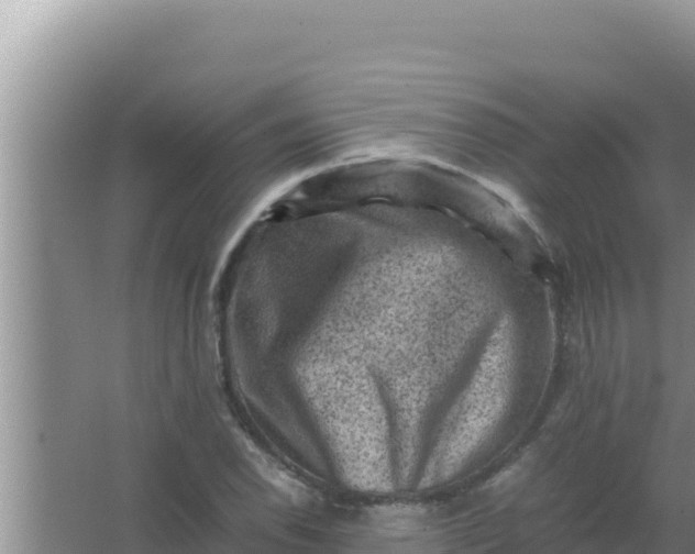 X0000066961118200604071957