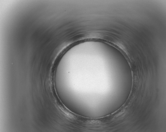 X0000066961119200604071957