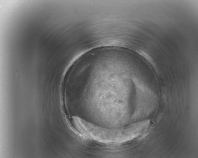 X0000066961120200604071957