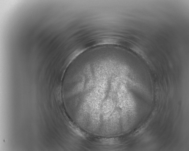 X0000066961121200604071957