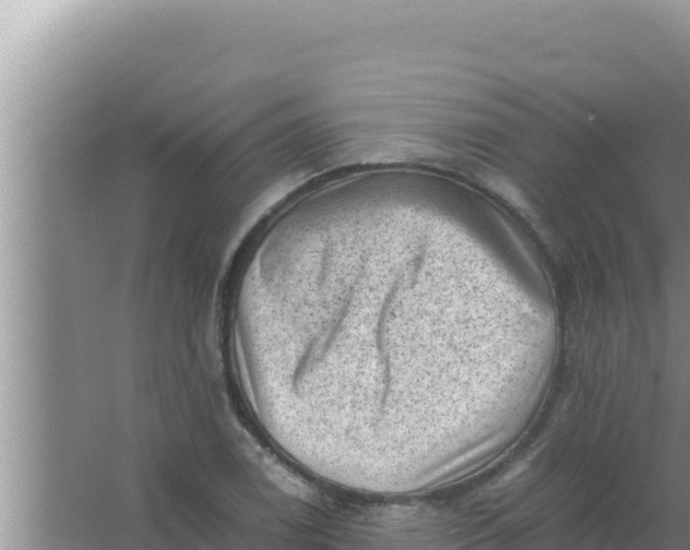 X0000066961122200604071957