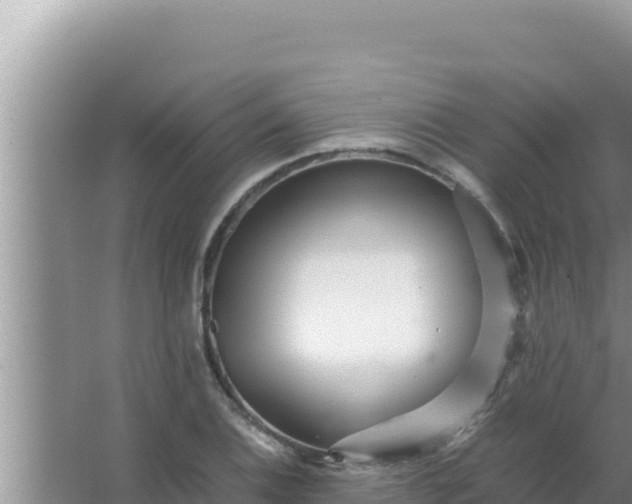 X0000066961124200604071957