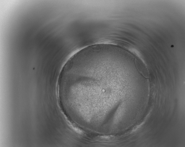 X0000066961125200604071957